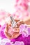 Trendy nail manicure. Woman hands holding nails polishes. Pink decoration from orchids