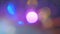 Trendy neon colors festive sparkling defocused lights. Blue, yellow and purple bokeh 4K. Perfect stylish abstract overlay footage.