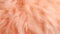 Trendy peach fur texture closeup. Abstract apricot wool structure background