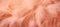 Trendy Peach soft feather texture. Background. Fashionable color. Concept of Softness, Comfort and Luxury. Ideal for a