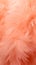 Trendy Peach soft feather texture. Background. Fashionable color. Concept of Softness, Comfort and Luxury. Ideal for a