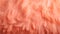 Trendy Peach soft feather texture. Fashionable color. Concept of Softness, Comfort and Luxury. Can be used as a