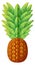 Trendy pineapple drawing in textured style. Tropical fruit