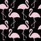 Trendy pink and black flamingo seamless pattern