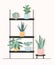 Trendy plants in pots on a rack: aloe vera, fiddle leaf fig, snake plant, burros tail, aglaonema, jade plant. Succulents and large