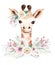 A trendy poster with a giraffe. Watercolor cartoon giraffe savanna animal illustration. Jungle savannah tropical exotic