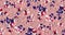 Trendy Seamless Pattern with Flowers with Leopard Skin on Light Pink Background.