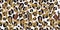 Trendy seamless pattern with gold chains on leopard skin. Vector.