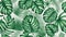 Trendy seamless tropical pattern with exotic leaves and plants jungle