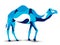 Trendy stylized illustration, camel, line vector silhouette of ,