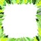 Trendy tropical leaves nature vector poster in a vary green and yellow light leaves shades and tones colors