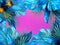 Trendy turquoise colored close up of various tropical leaves on bright pink and violet background