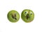 Trendy ugly food concept. Two green funny apples with eyes isolated on white background. Fruit with a strange shape.