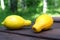 Trendy Ugly lemon. Strange shape fruits on wooden table outdoor, green garden background.