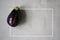 Trendy ugly organic eggplant on grey table, with copy space with white frame