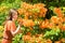 Trendy woman admiring colorful orange azaleas in spring