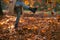 Trendy woman in brown coat and hat kicking autumn leaves