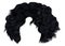 Trendy woman curly hairs brunette black dark colors .