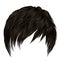 Trendy  woman man short  hairs  with fringe  . dark  brown   color .  beauty style . realistic  3d
