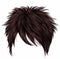 Trendy woman short hairs brown colors.fringe . fashion beauty s