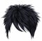 Trendy woman short hairs brunette black colors .fashion beauty