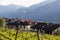 Trentino landscape with fresh spring vineyards and rural houses with Alps on background