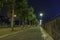 Tress along a pathway with a view of Rhine tower in the background in Dusseldorf, Germany at night.