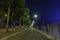 Tress along a pathway with a view of Rhine tower in the background in Dusseldorf, Germany at night.