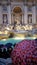 Trevi Fountain, tourist attraction, temple, building, umbrella