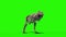 TRex Skeleton Attack Front Jurassic World 3D Rendering green Screen