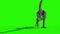 TRex Skeleton Walk Back Jurassic World 3D Rendering green Screen