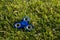 Tri Fidget Hand Spinner on the grass