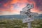 trial and error text engraved in wooden signpost outdoors in nature during sunset