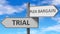 Trial and plea bargain as a choice, pictured as words Trial, plea bargain on road signs to show that when a person makes decision