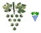 Triangle Mosaic Virus Grapes Bunch Icon in Camouflage Army Color Hues