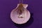 Triangle shape gold pendant necklace with pearl in shell on purple background