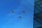 A triangular formation of a group of three russian military fighter jet planes flying high in blue sky during Vicotry Day parade