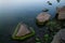 A triangular stone near the shore of a reservoir during fog. Nicely overgrown with green algae at the base.