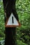 Triangular traffic sign, which over the years has grown together with a tree