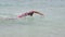 Triathlete man swimming freestyle crawl in ocean - Triathlon swimmer