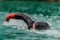 A triathlete in a professional swimming suit trains on the river while preparing for Olympic swimming
