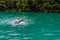 A triathlete in a professional swimming suit trains on the river while preparing for Olympic swimming