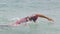 Triathlon man swimming - triathlete swimmer freestyle crawl strokes in ocean
