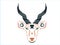 Tribal blackbuck illustration