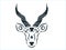 Tribal blackbuck illustration