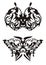 Tribal butterfly art