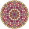 Tribal color element for design. Mandala isolated on white background.