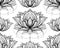 Tribal contour pattern with lotuses with decoration. Monochrome spiritual wallpaper. Water lilies with native pattern