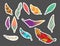 Tribal flat feather different style bird vintage colorful ethnic hand drawn