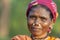 Tribal Lady with nose rings  Portrait, Dussera, Chattisgarh, India